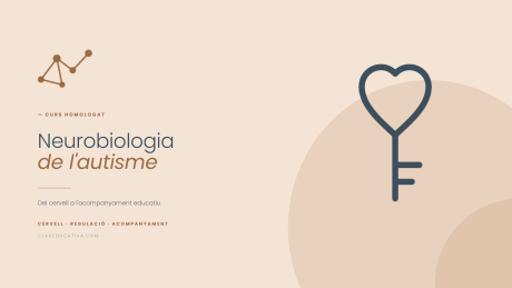 Neurobiologia de l'autisme: del cervell a l'acompanyament educatiu
